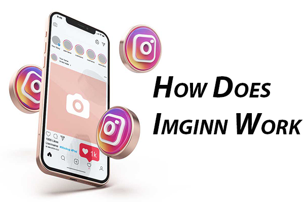 How Does Imginn Work